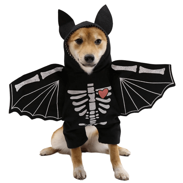 Déguisement d'Halloween pour chien avec ailes de chauve-souris – Accessoire effrayant et amusant pour chien