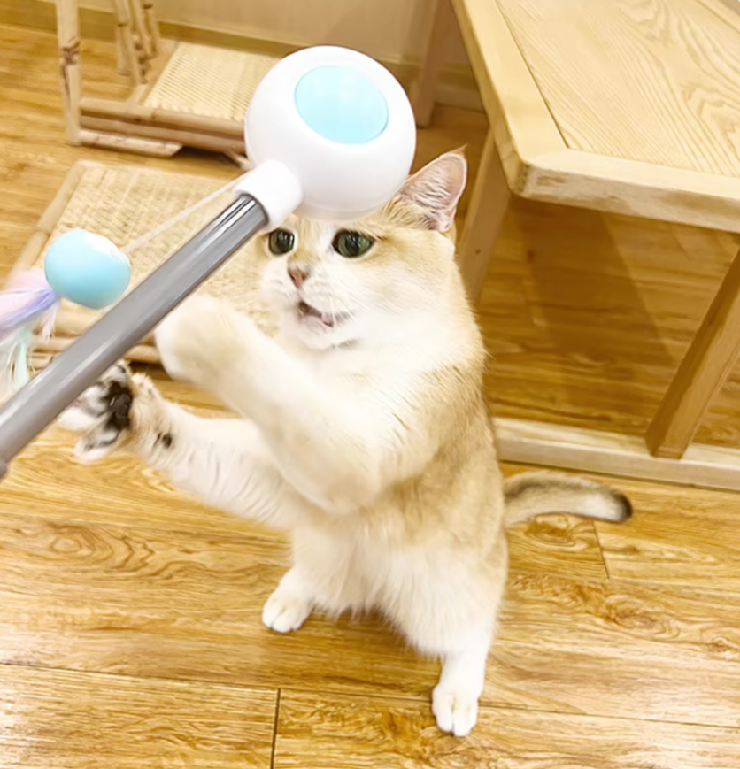 Interactive gravitational cat teaser with laser wand for engaging and safe play, designed for stimulating activity in cats.