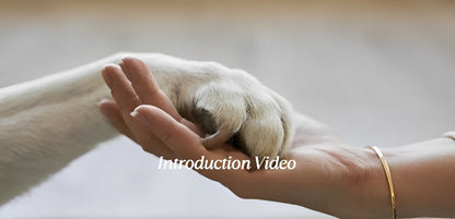 Silicone pet foot wash cup with soft bristles for cleaning dog and cat paws