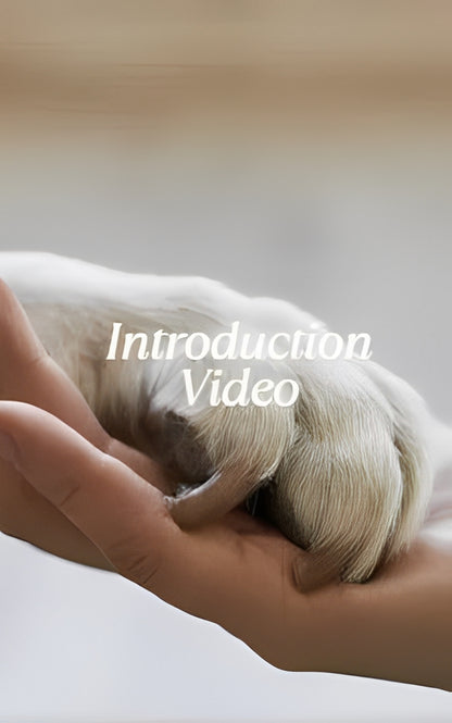 Christmas-themed squeaky dog toy with cotton rope knot for small dogs and puppies