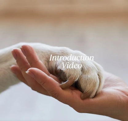 Collapsible Cat Tunnel, Interactive Tunnel for Cats, Cat Play Tunnel with Peek Holes