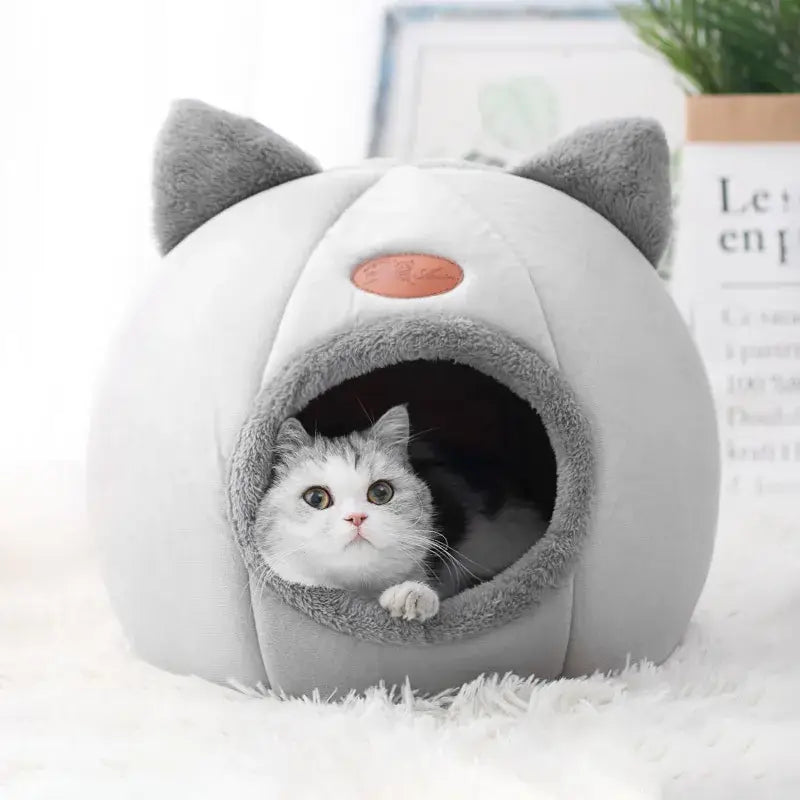 Cozy winter cat bed in cave design with removable cushion, perfect for keeping cats warm and comfortable during cold months.