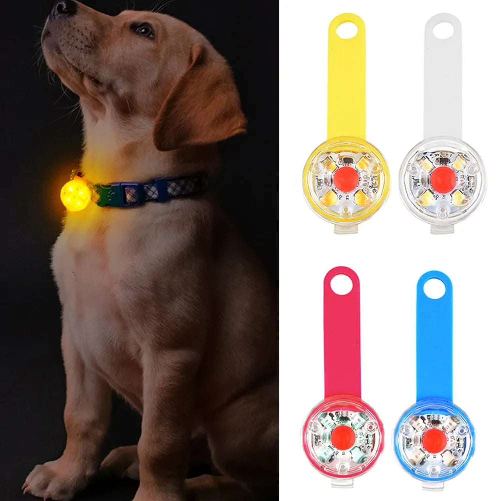 USB rechargeable LED pet collar pendant for nighttime safety and outdoor visibility