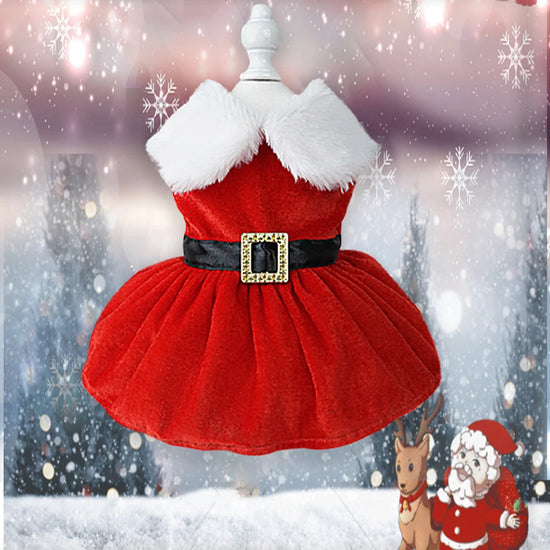 Festive Christmas dress for small dogs and cats, featuring a red skirt and glittering belt for holiday celebrations.