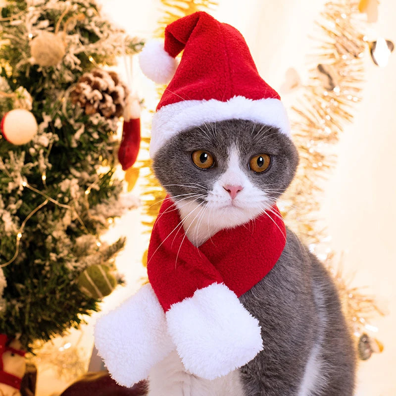 Adorable pet Christmas hat and scarf set for cats and dogs, perfect for winter celebrations.